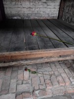 Wizyta w Muzeum Auschwitz – Birkenau